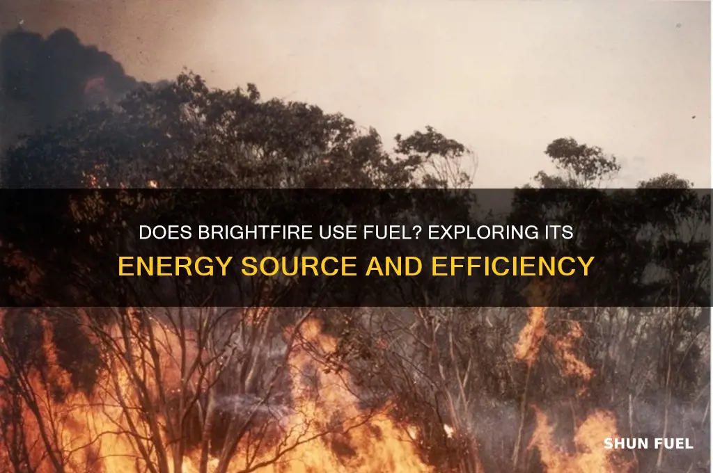 does brightfire use fuel
