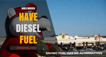 Buc-ee's Diesel Fuel: Availability and Locations