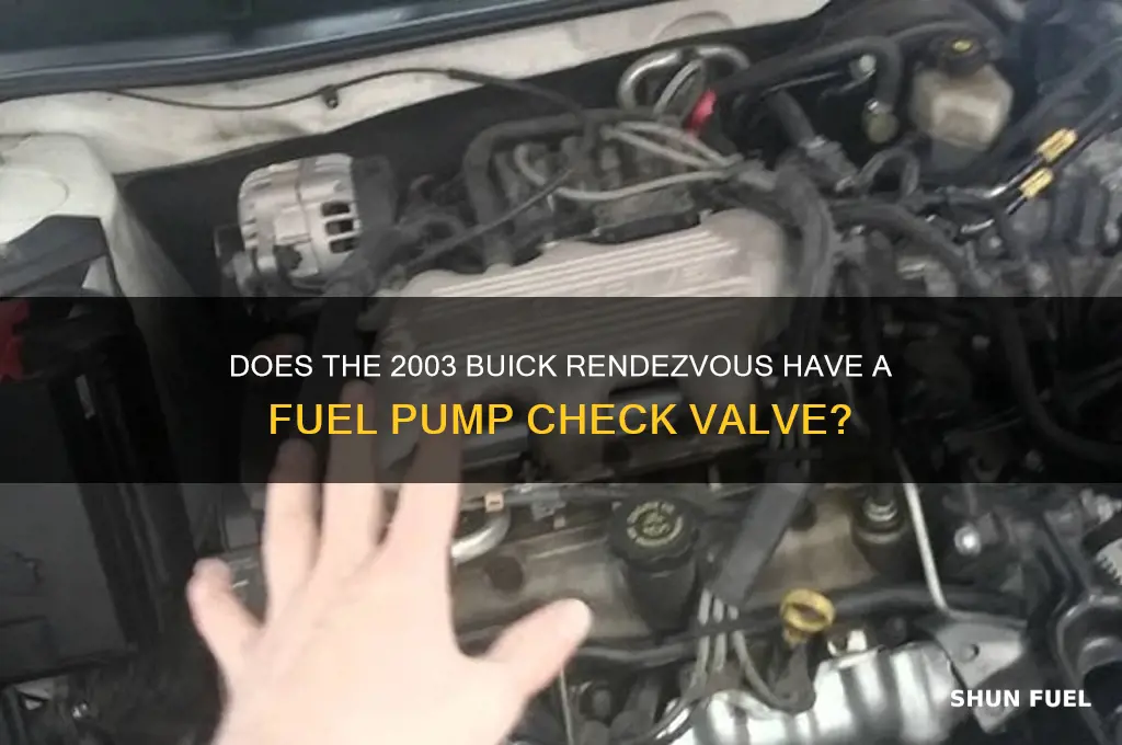 does buick rendezvous 03 have a fuel pump check value