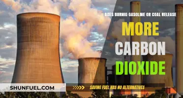 Comparing Carbon Footprints: Gasoline vs. Coal Burning