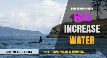 How Fossil Fuels Increase Water Levels