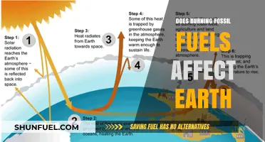 Fossil Fuels: Earth's Bane or Boon?