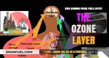 Fossil Fuels: Ozone Layer's Worst Enemy?