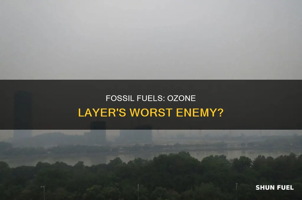 does burning fossil fuels affect the ozone layer