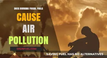 Fossil Fuels: Burning Questions on Air Pollution
