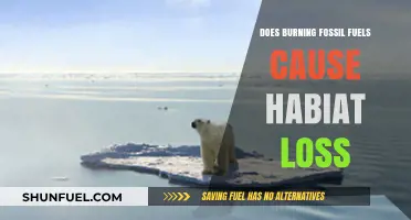 Fossil Fuels: Habitat Loss and Climate Change