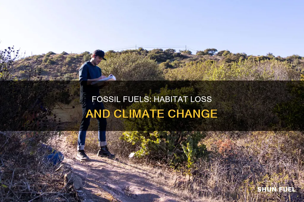 does burning fossil fuels cause habiat loss