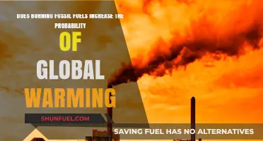 Fossil Fuels: Global Warming's Worst Enemy?