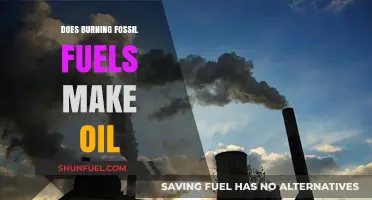 Fossil Fuels: Burning Questions on Oil Origins