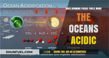 How Fossil Fuels Make the Oceans Acidic