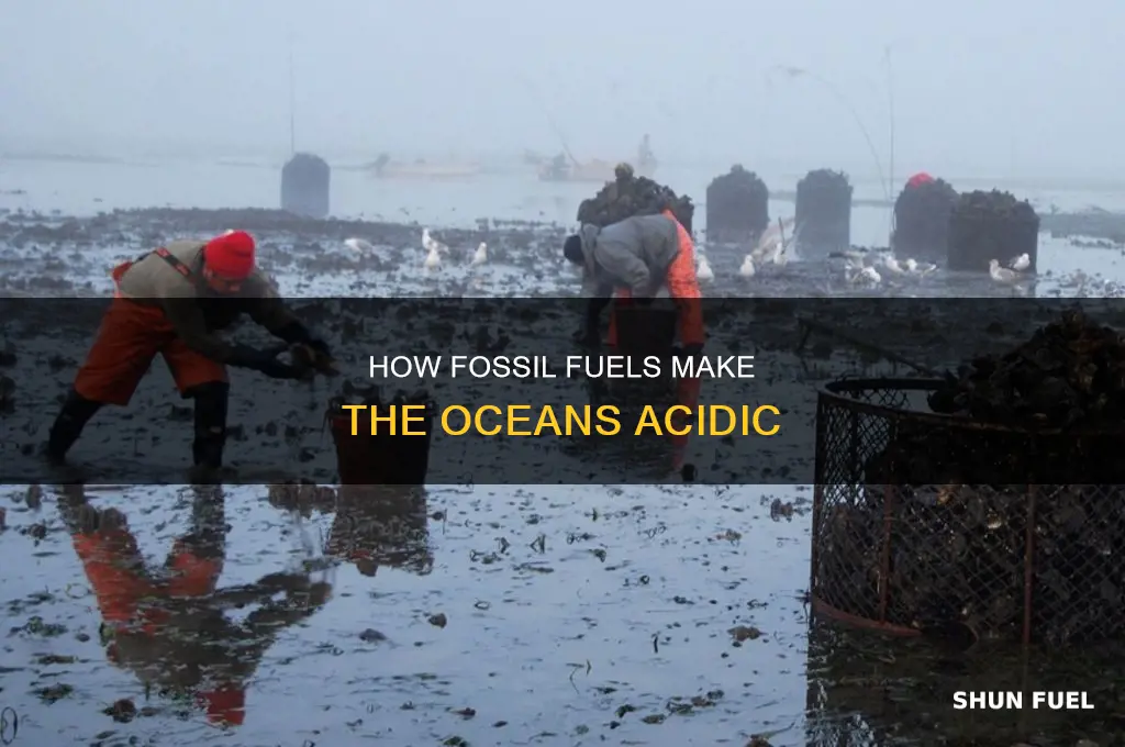 does burning fossil fuels make the oceans acidic