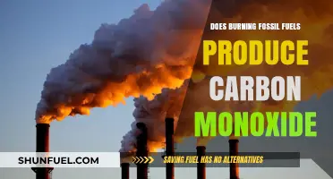 Fossil Fuels: Carbon Monoxide's Dangerous Source