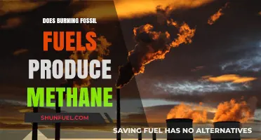 Fossil Fuels and Methane: A Burning Question
