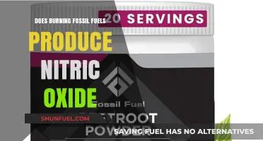 Fossil Fuels: Nitric Oxide's Dark Secret