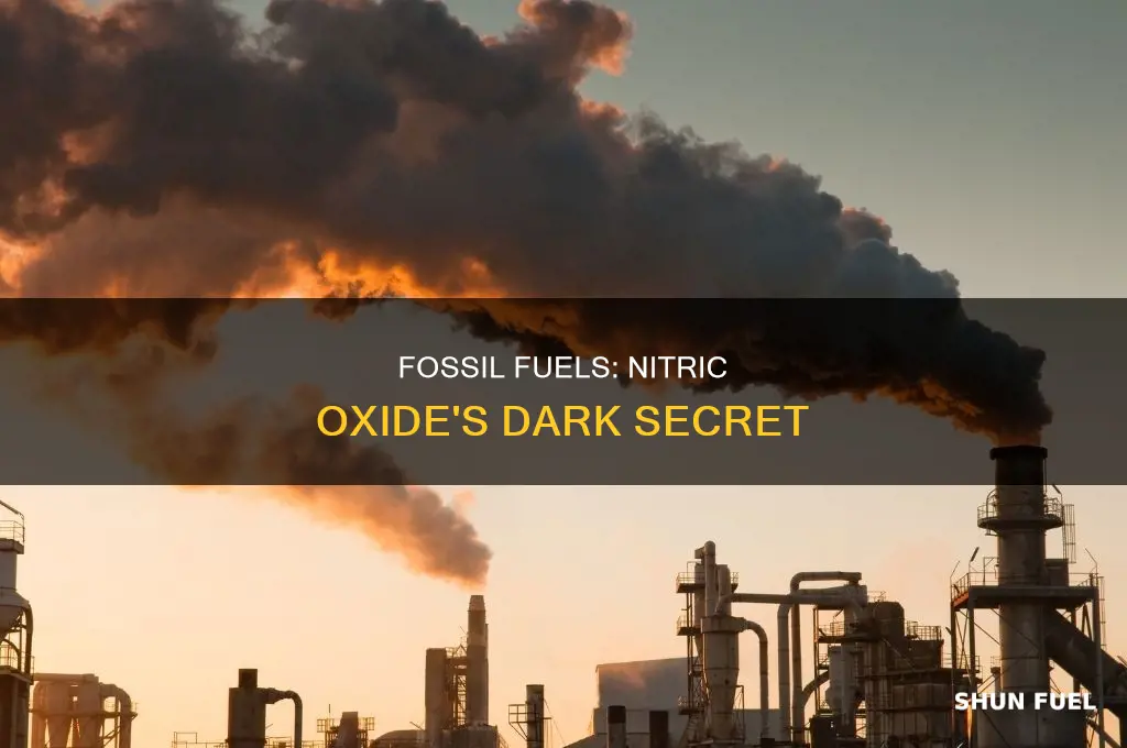 does burning fossil fuels produce nitric oxide