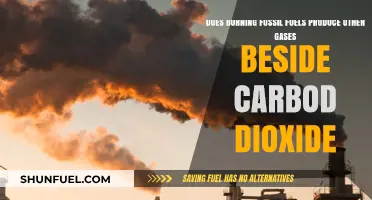 What Other Gases Are Produced by Burning Fossil Fuels?