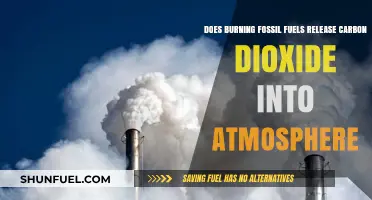 Fossil Fuels: Carbon Emissions and Our Atmosphere
