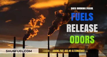 Fossil Fuels: Burning Questions About Odors