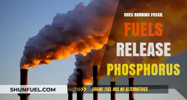 Fossil Fuels: Phosphorus Release and Environmental Impact
