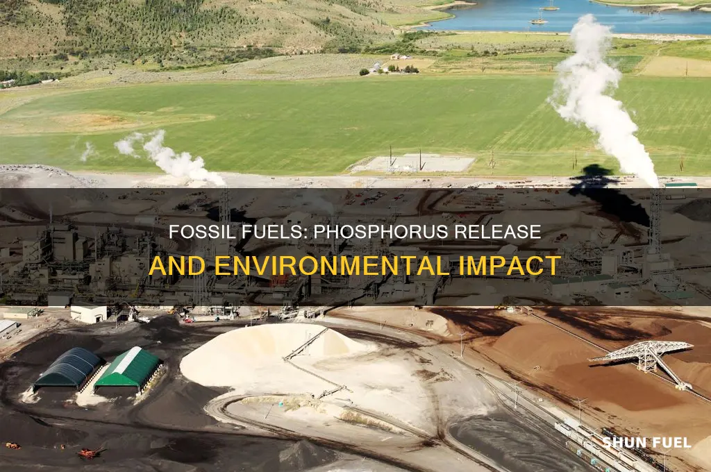 does burning fossil fuels release phosphorus