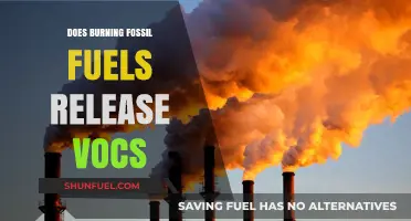 Fossil Fuels: VOC Emissions and Health Risks