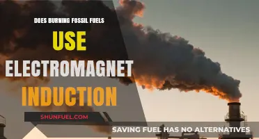 Fossil Fuels and Electromagnetic Induction: Any Connection?