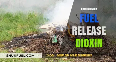 Does Burning Fuel Release Dioxin? Uncovering the Environmental Impact