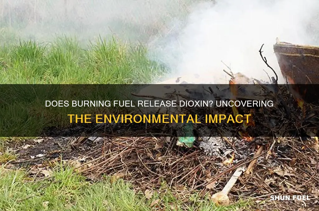 does burning fuel release dioxin