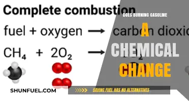 The Chemistry of Combustion: Is Burning Gasoline a Chemical Change?