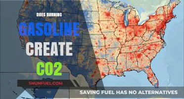 The Environmental Impact of Gasoline: CO2 Emissions Explained