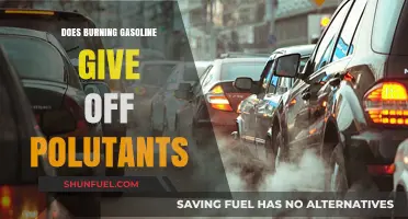 The Environmental Impact of Burning Gasoline: A Closer Look