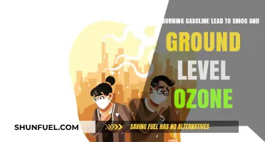 The Impact of Burning Gasoline on Smog and Ground-Level Ozone