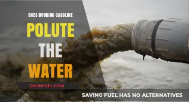 The Impact of Gasoline Combustion on Water Quality: A Comprehensive Analysis