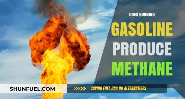 The Surprising Truth About Gasoline Combustion and Methane Emissions