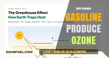 The Environmental Impact of Gasoline: Does Burning Produce Ozone?