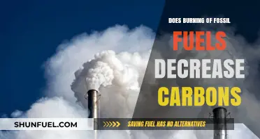Fossil Fuels: Burning Questions on Carbon Reduction