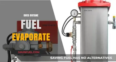 Does Butane Fuel Evaporate? Understanding Its Properties and Behavior