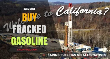 California's Fuel Choice: Fracked Gasoline or Cleaner Alternatives?