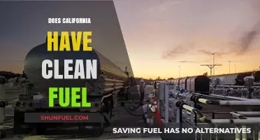California's Clean Fuel Standards: Progress, Challenges, and Environmental Impact