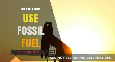 California's Energy Sources: Fossil Fuels and Beyond