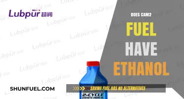 Does Cam2 Fuel Contain Ethanol? Uncovering the Truth
