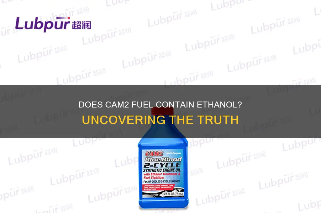 does cam2 fuel have ethanol