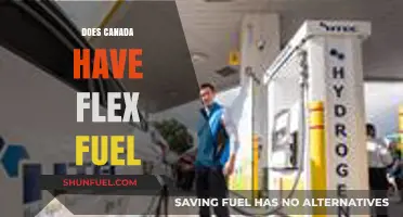 Exploring Canada's Flex Fuel Availability: Options and Infrastructure Insights