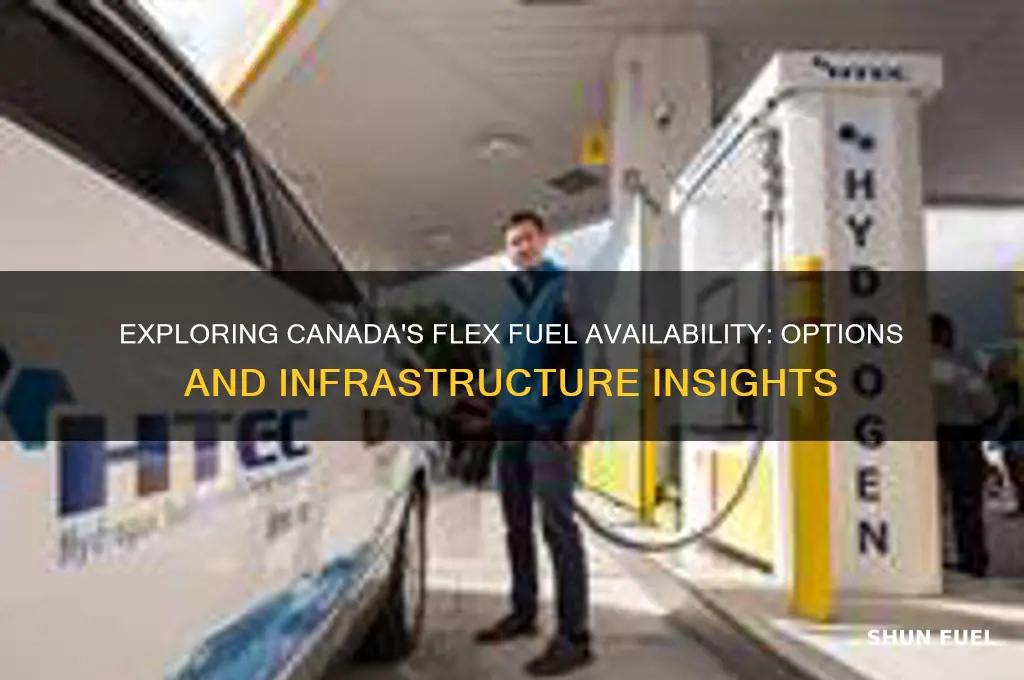 does canada have flex fuel