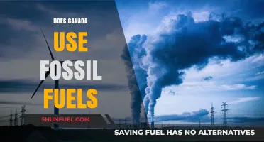 Canada's Energy Reliance: Fossil Fuels in the Mix?
