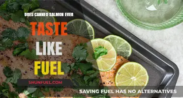 Does Canned Salmon Taste Like Fuel? Unraveling the Mystery