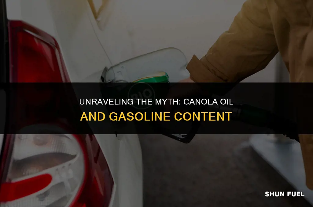 does canola oil have gasoline in it