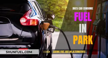 Car Fuel Consumption: Does Parking Affect It?