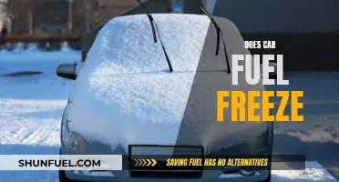 Will Your Car's Fuel Freeze in Winter?