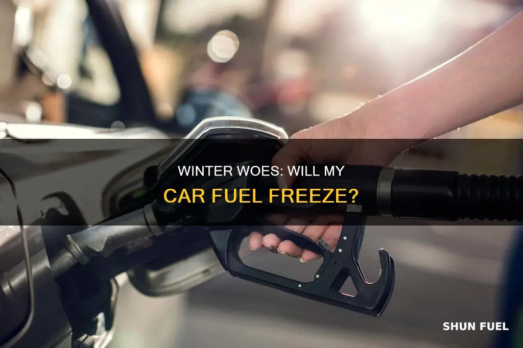 does car fuel freeze